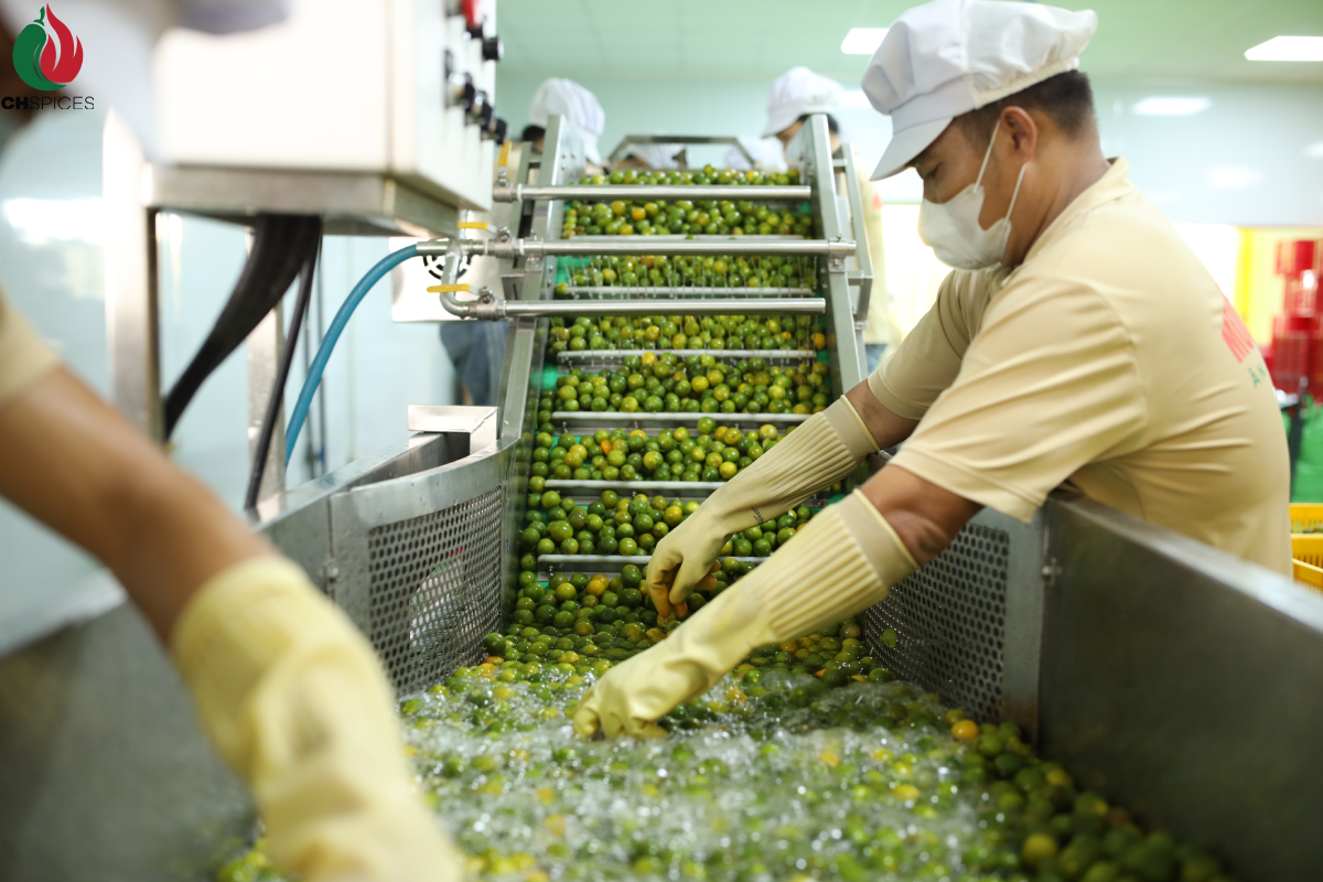 su-tan-tam-la-gia-tri-cot-loi-lam-nen-muoi-chu-hai