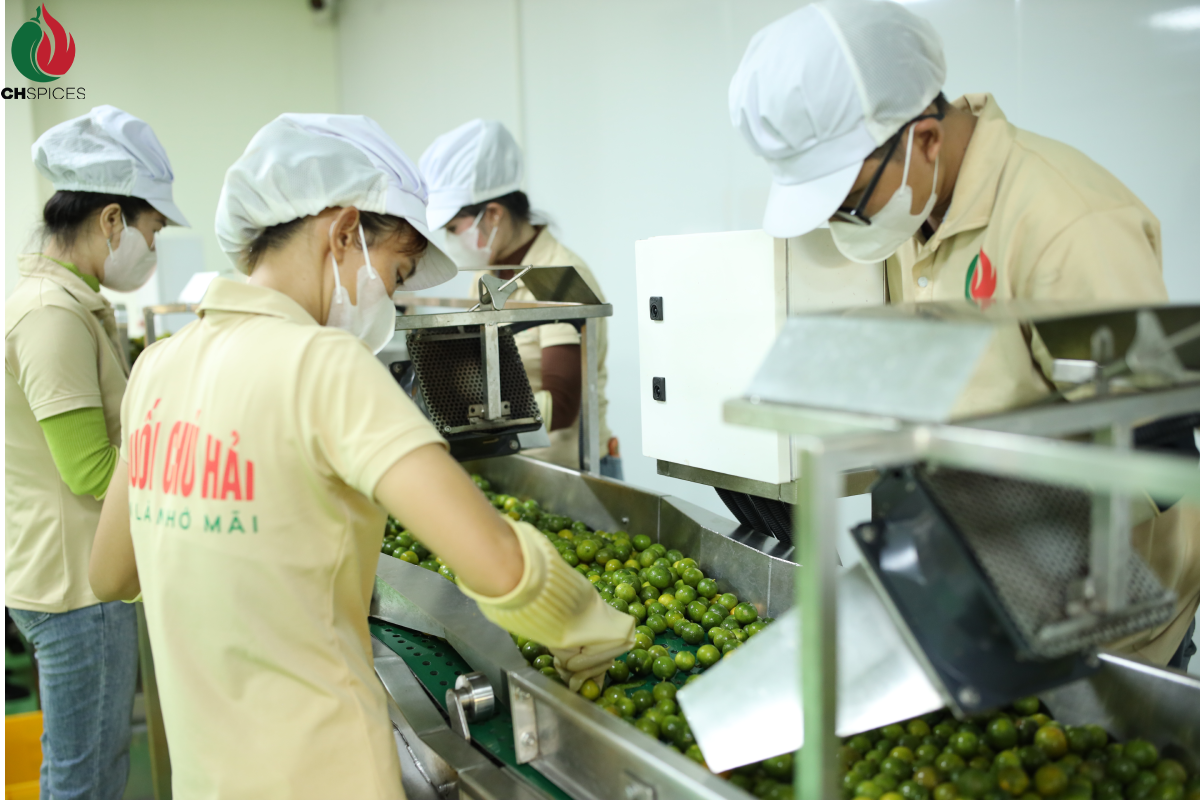 tai-muoi-chu-hai-nguyen-lieu-duoc-lua-chon-tuoi-moi-moi-ngay